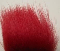 polar bear crimson premium